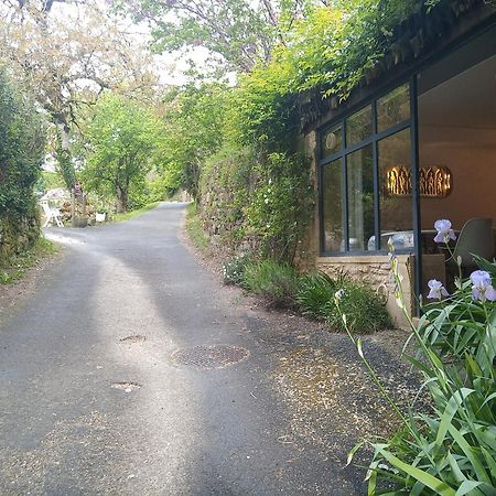 Chambre Du Sabotier - Studio Troglodytique - A 100 M Baignade En Riviere - Location De Canoe - Circuits Cyclo - Aire De Pique-Nique - 3 Restaurants 卡斯泰尔诺拉沙佩尔 外观 照片